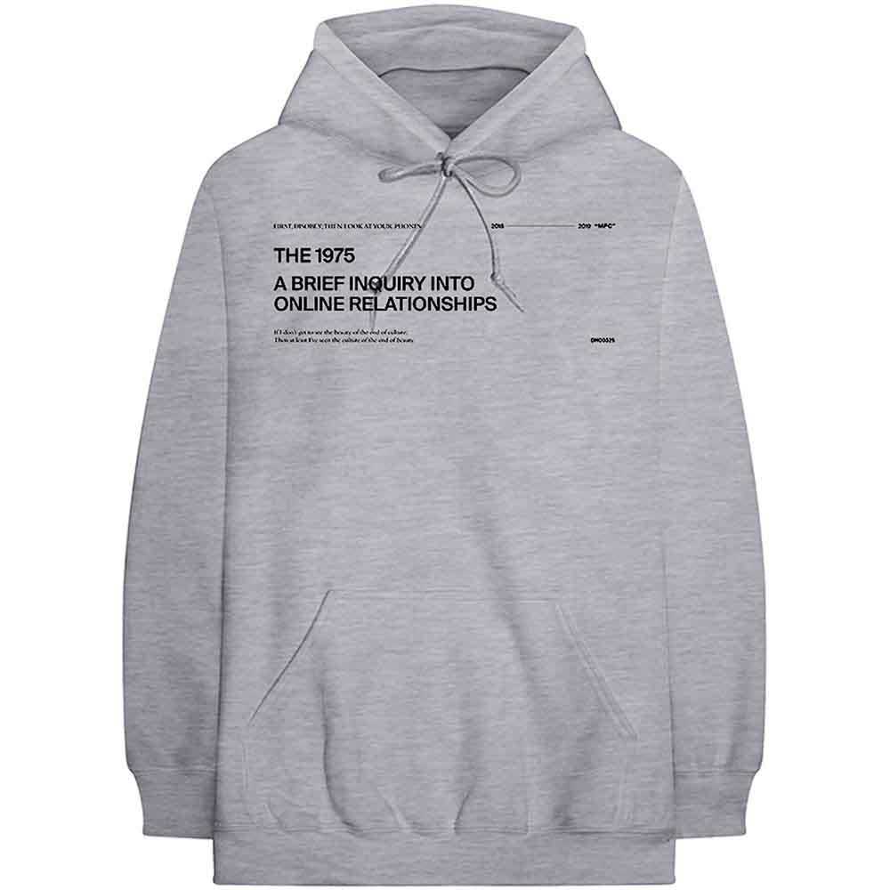 The 1975 Unisex Pullover Hoodie: ABIIOR Version 2. (Grey)