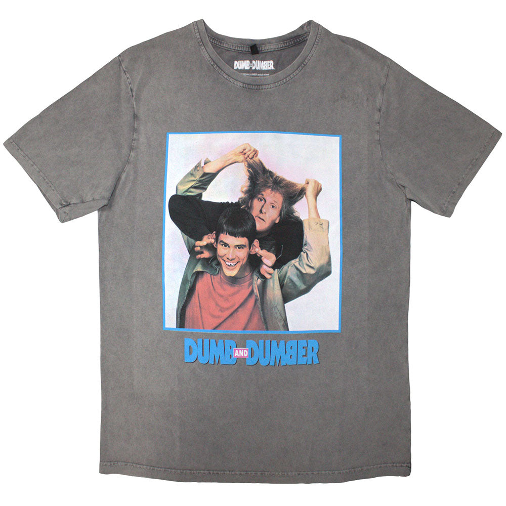 Dumb & Dumber Unisex Stone Wash T-Shirt: Movie Poster (Grey)