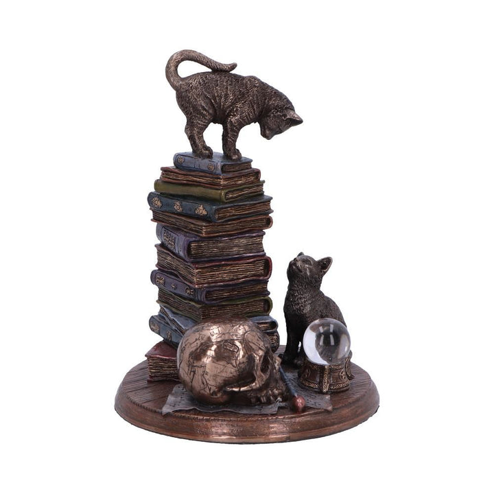 Feline Scholars 18cm