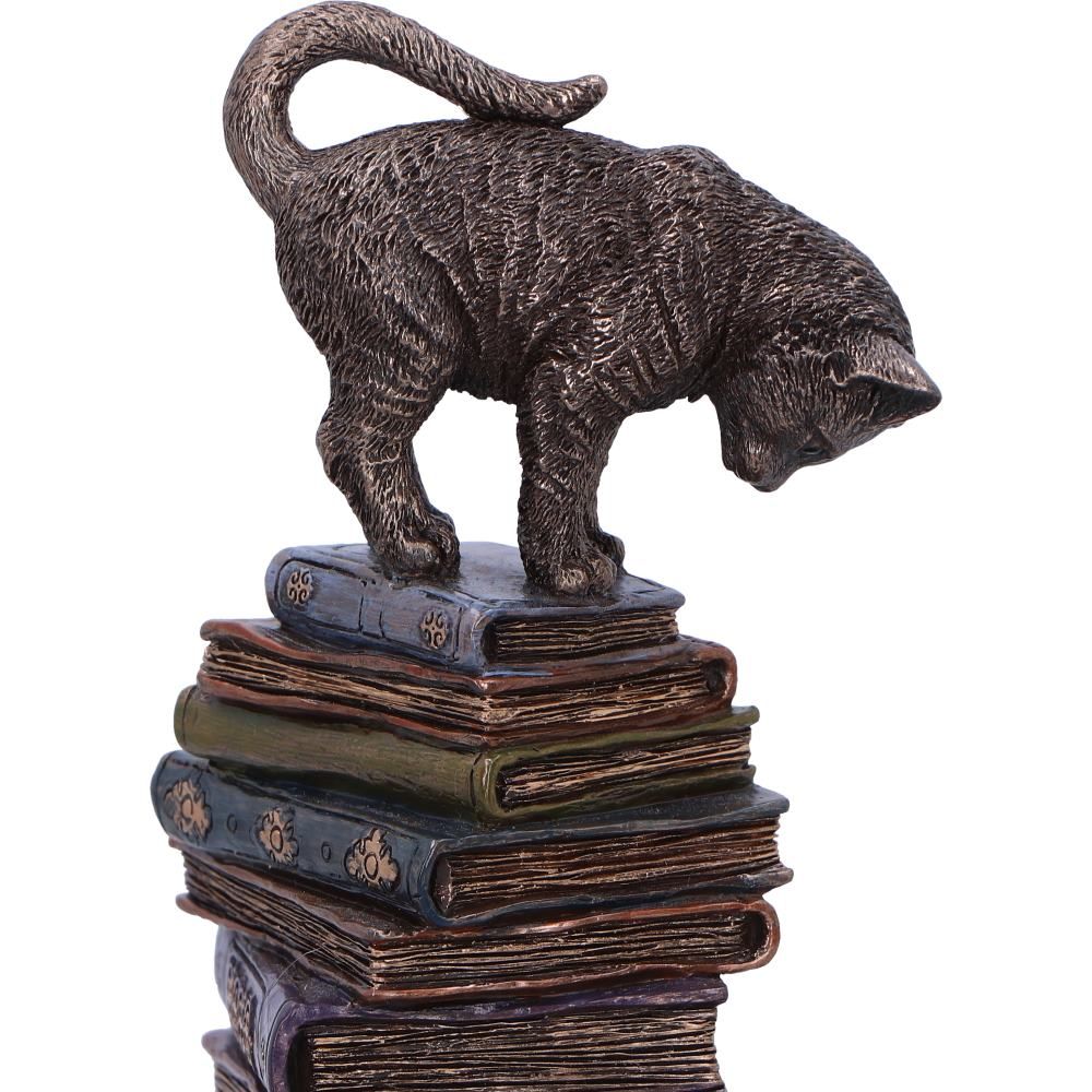 Feline Scholars 18cm