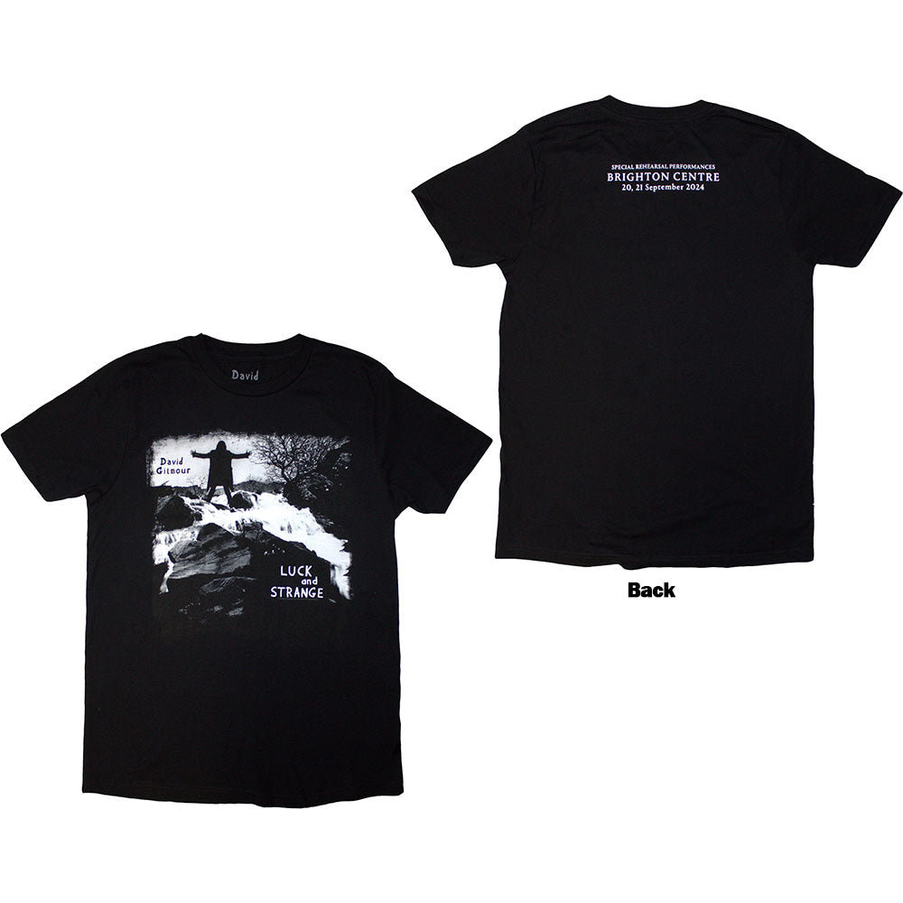 David Gilmour Unisex T-Shirt: Luck & Strange Album Brighton (Black) (Back Print & Ex-Tour) (Small)