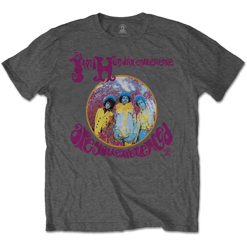 Jimi Hendrix Unisex T-Shirt: Are You Experienced (Grey)