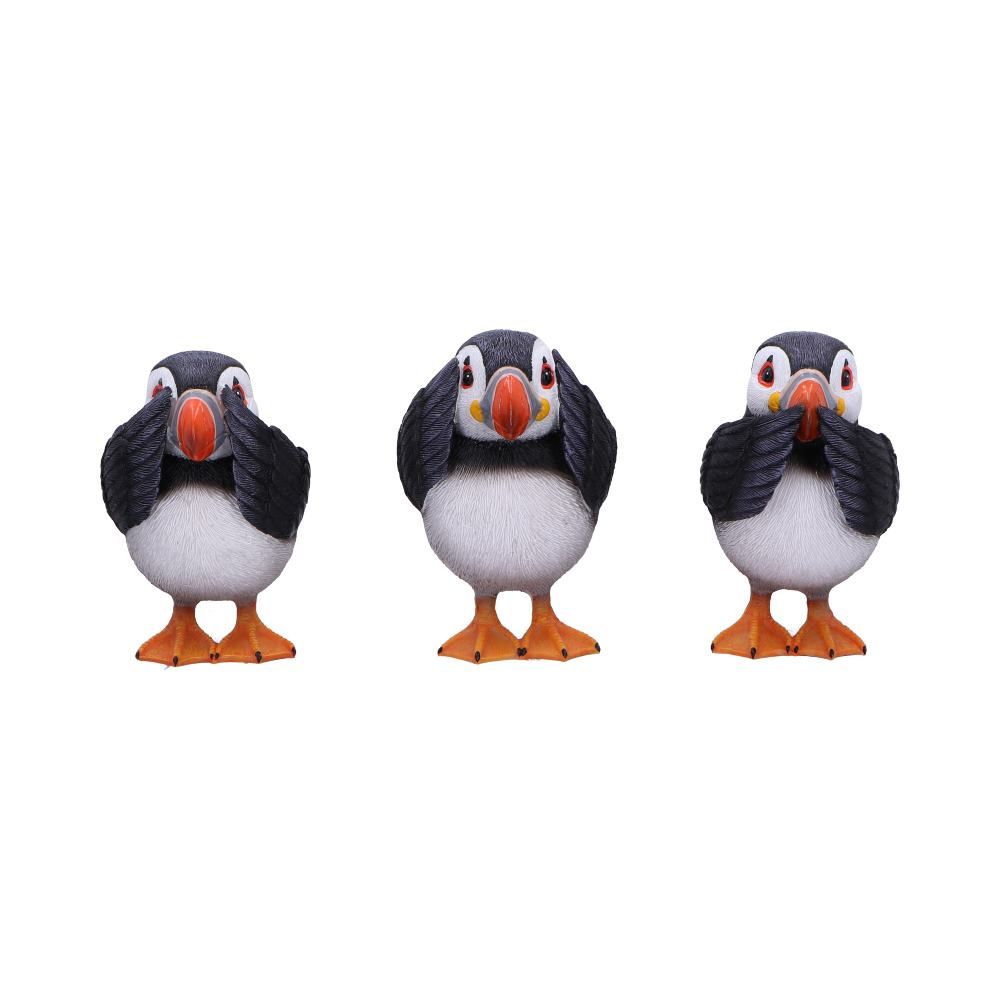 Three Wise Puffins | See, Hear, Speak