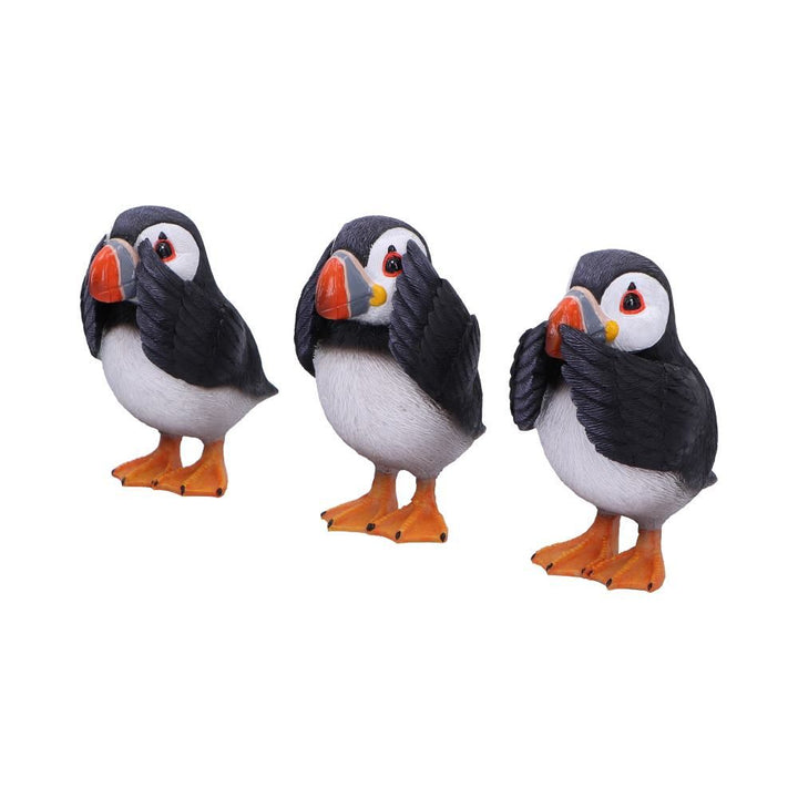 Three Wise Puffins | See, Hear, Speak