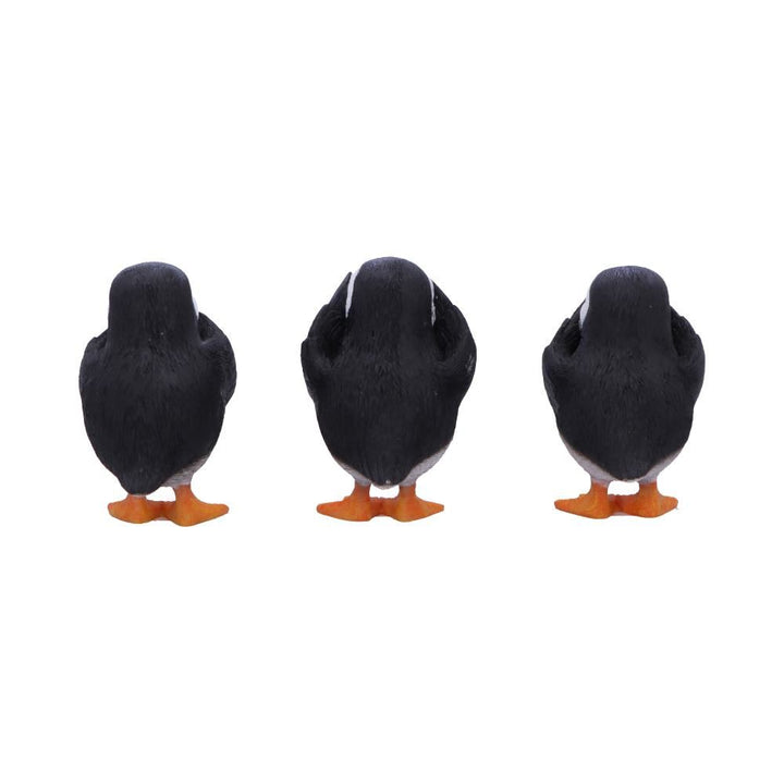 Three Wise Puffins | See, Hear, Speak