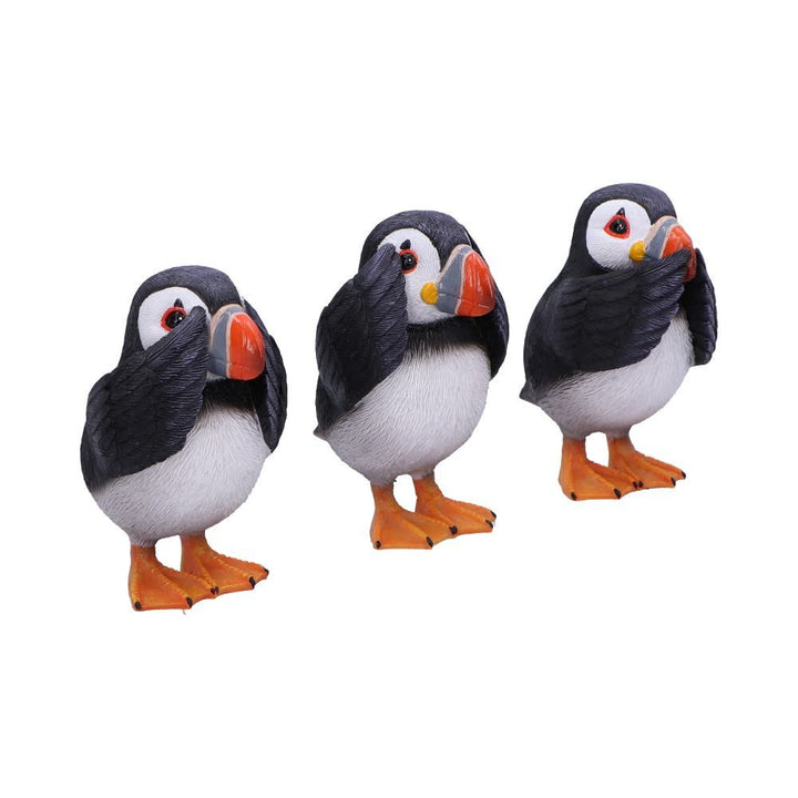 Three Wise Puffins | See, Hear, Speak