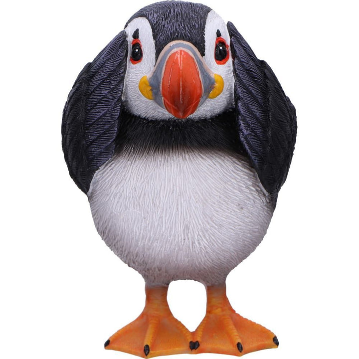 Three Wise Puffins | See, Hear, Speak