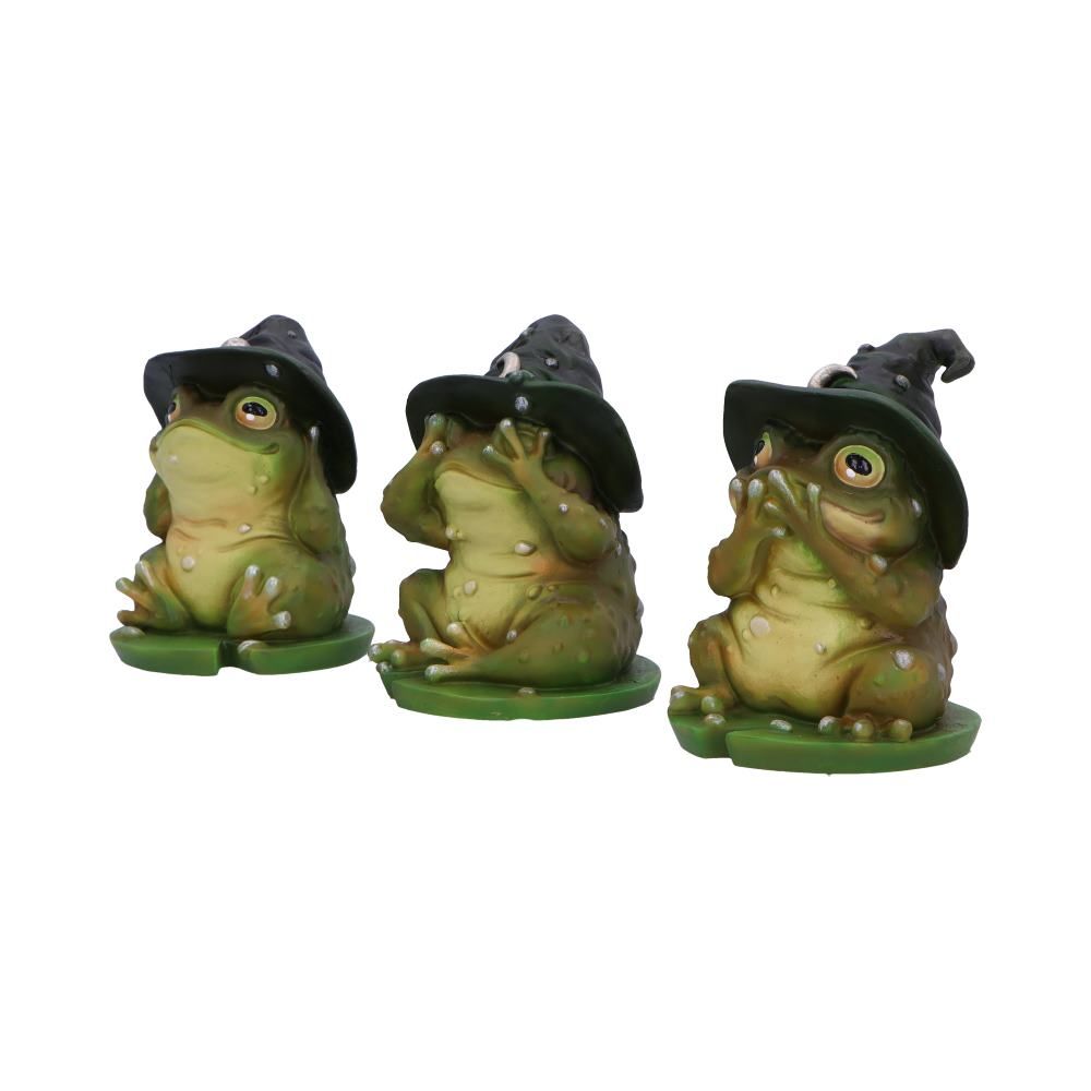 Three Wise Toads | See, Hear, Speak