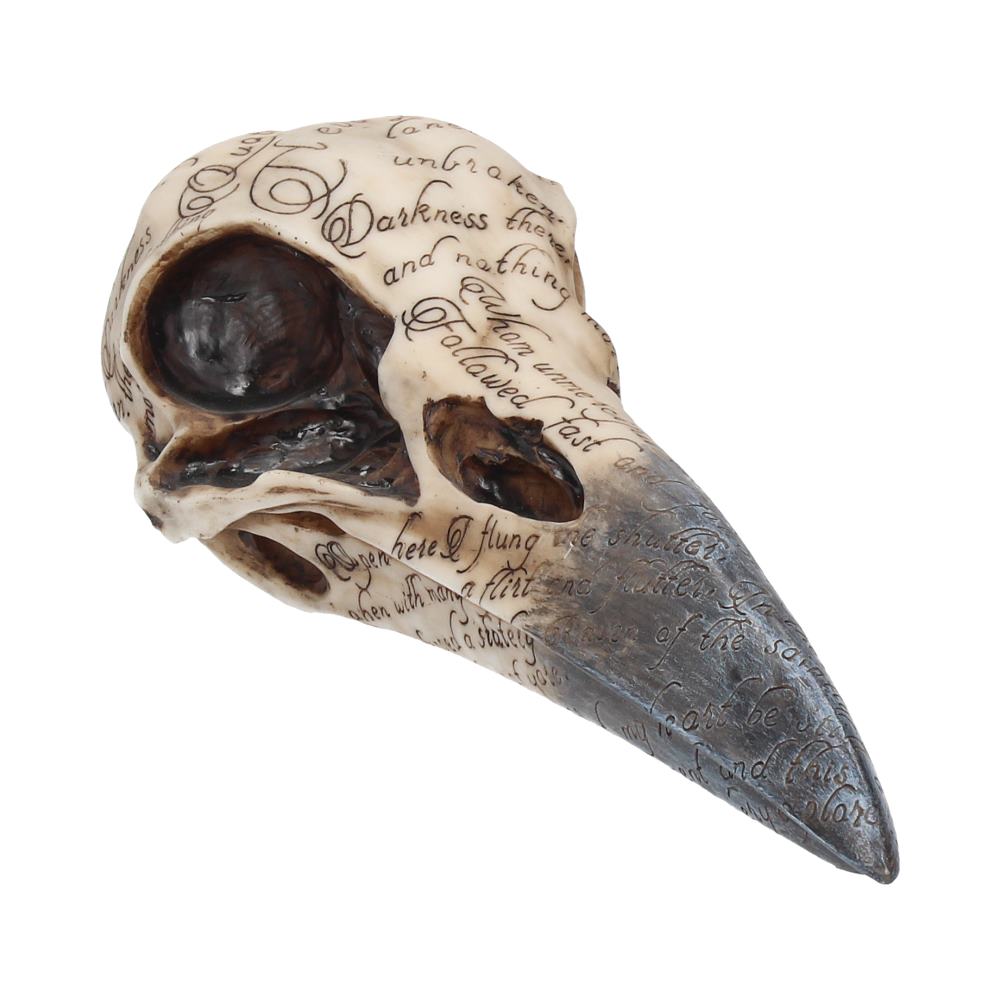 Pre-Order Edgar's Raven Skull 21cm