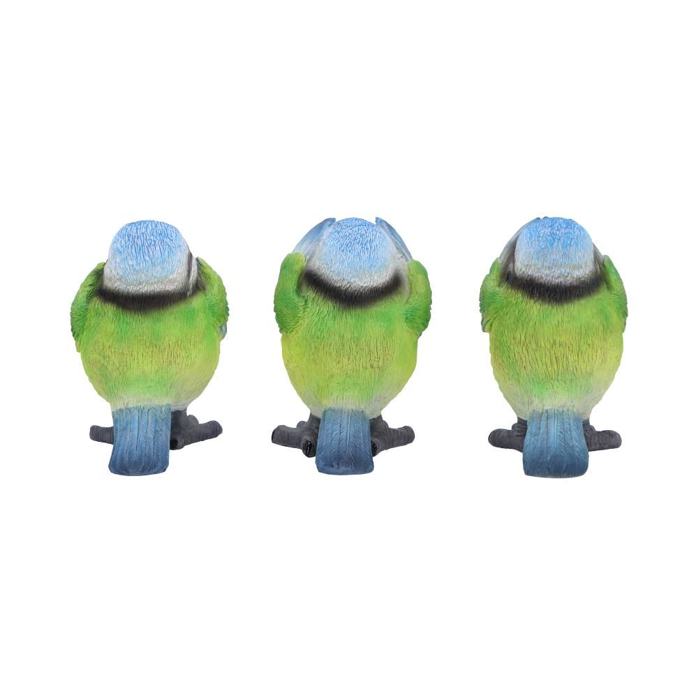 Three Wise Blue Tits