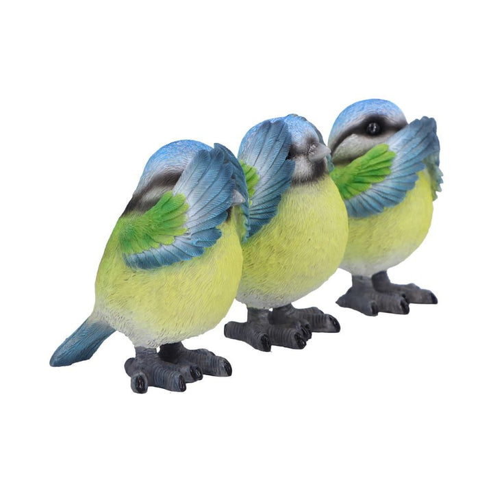 Three Wise Blue Tits