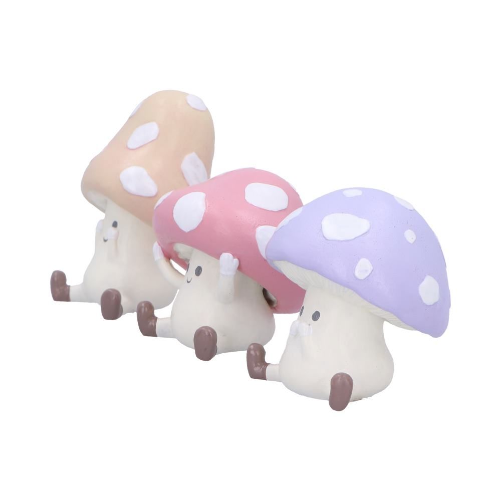 Pre-Order Three Wise Toadstools