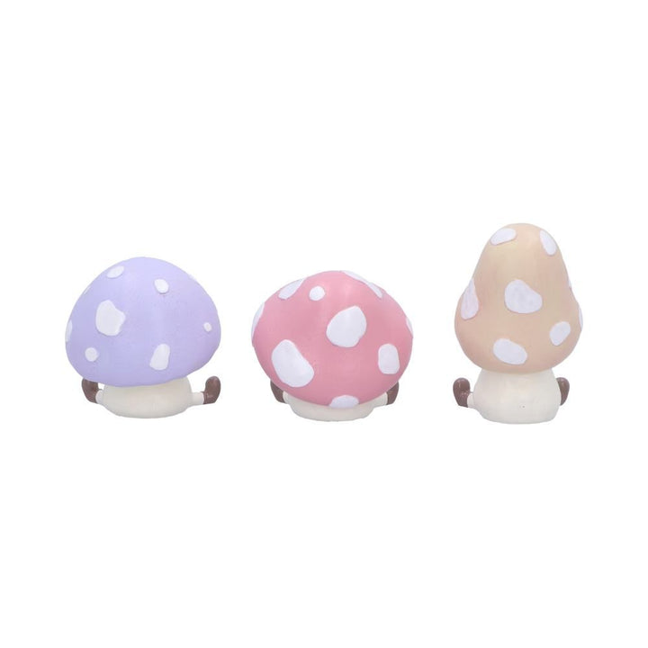 Pre-Order Three Wise Toadstools