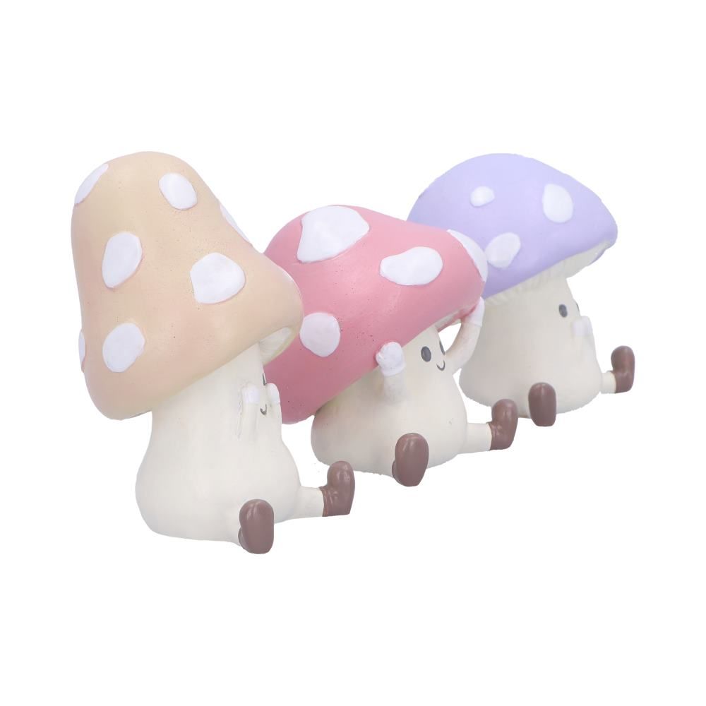 Pre-Order Three Wise Toadstools