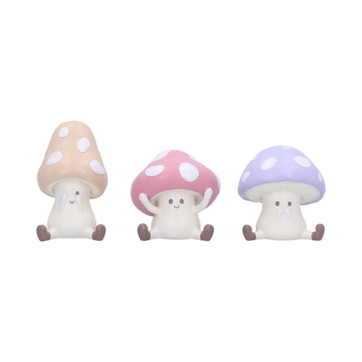 Pre-Order Three Wise Toadstools