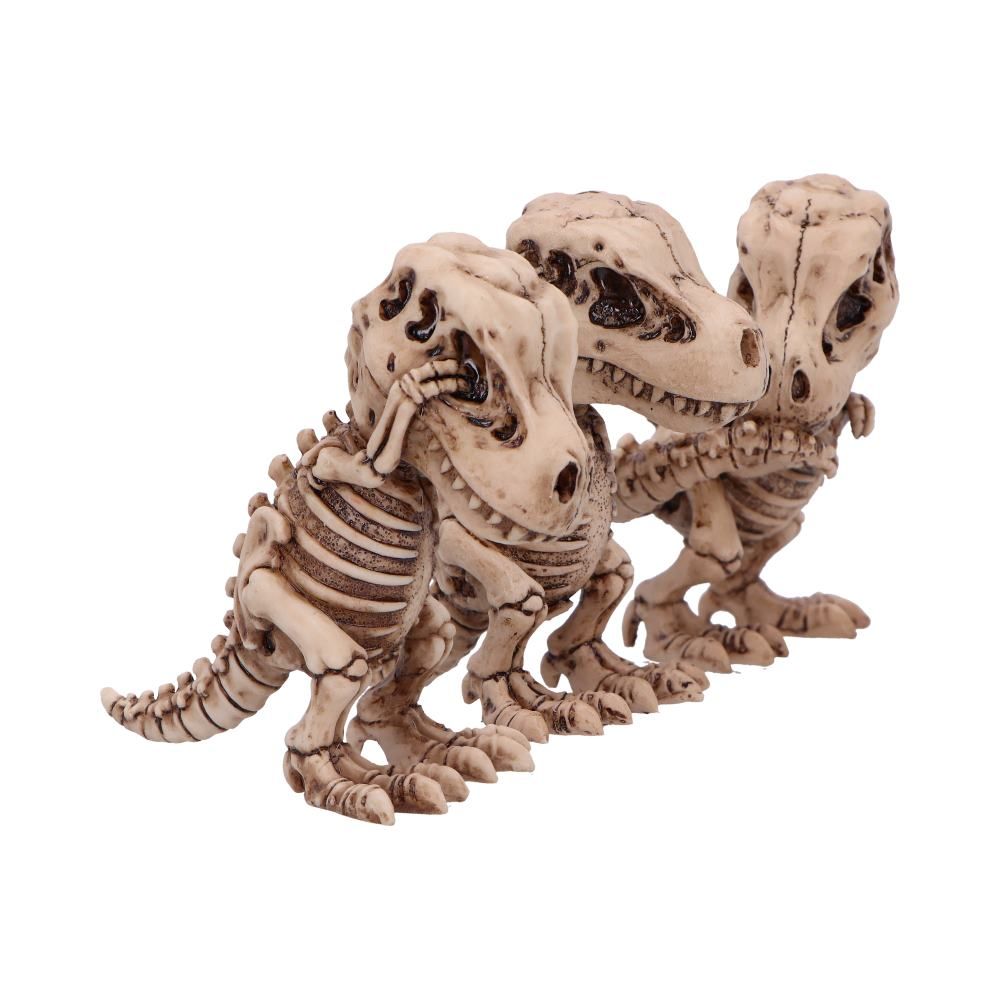 Pre-Order Three Wise Tyrannosaurus Rex Skeletons