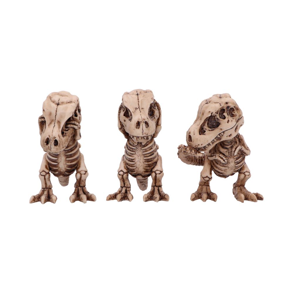 Pre-Order Three Wise Tyrannosaurus Rex Skeletons