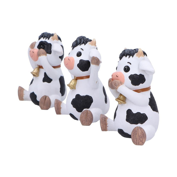 Three Wise Cows