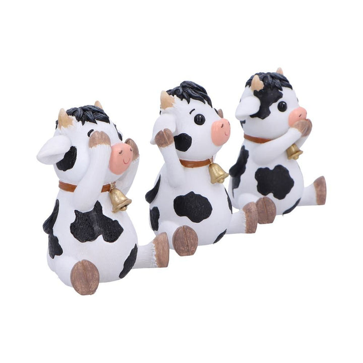 Three Wise Cows