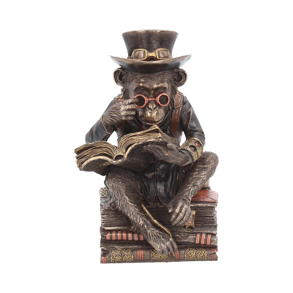 Chimpanzee Scholar 19.5cm