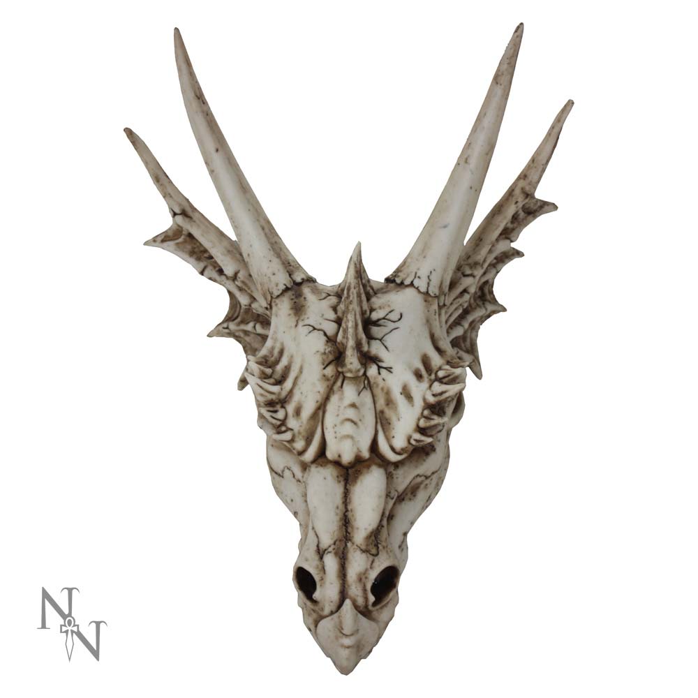 Pre-Order The Last Dragon Skull 32cm