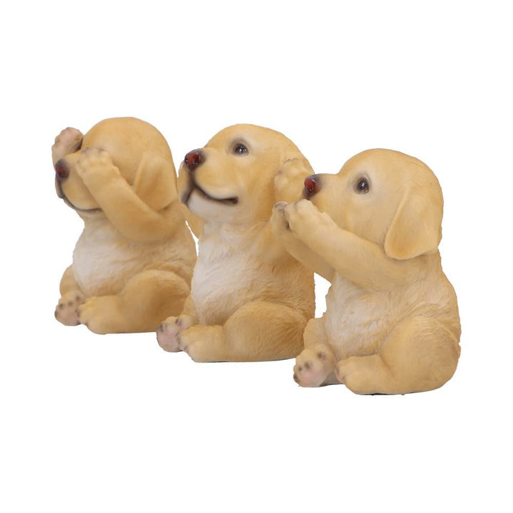 Three Wise Golden Labradors