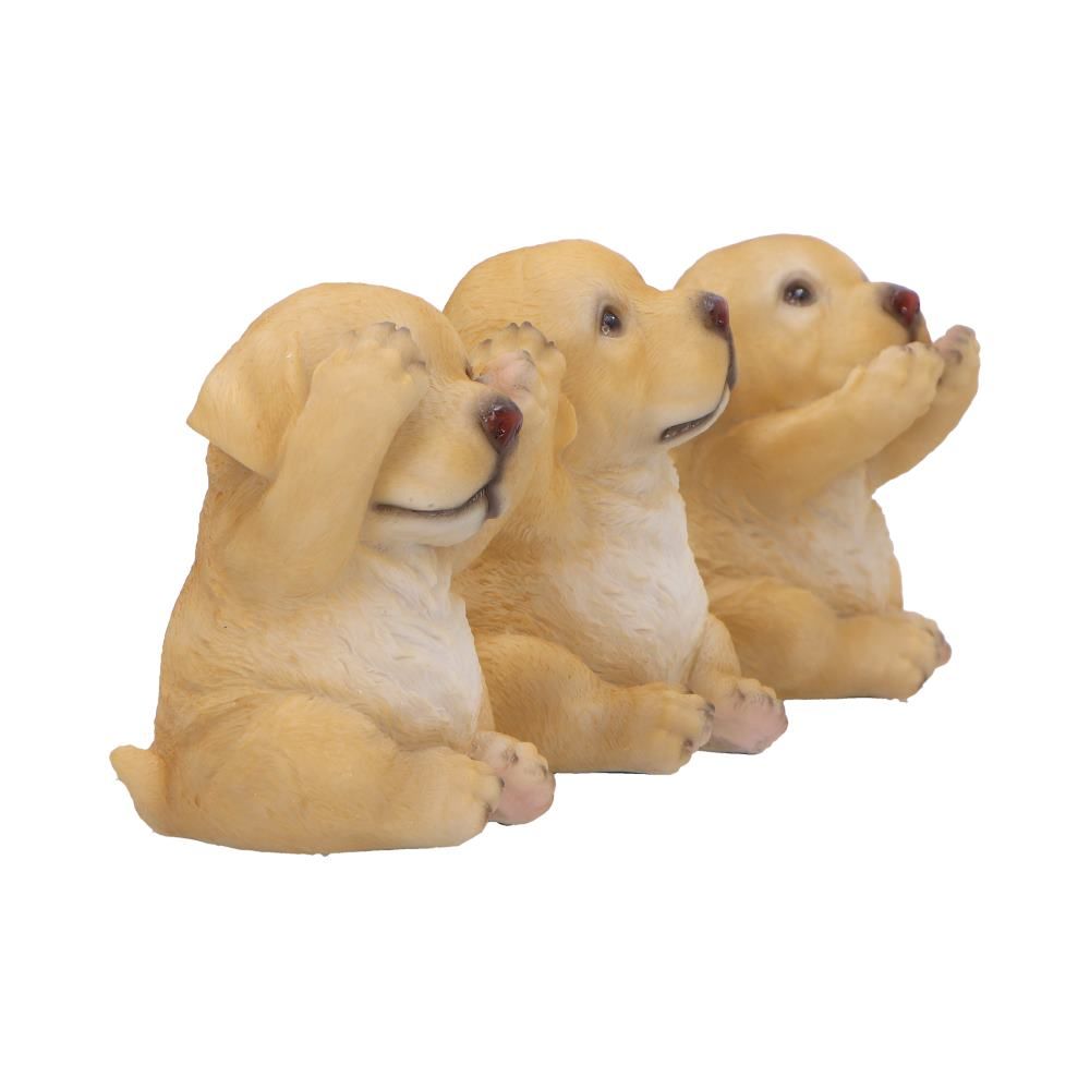 Three Wise Golden Labradors