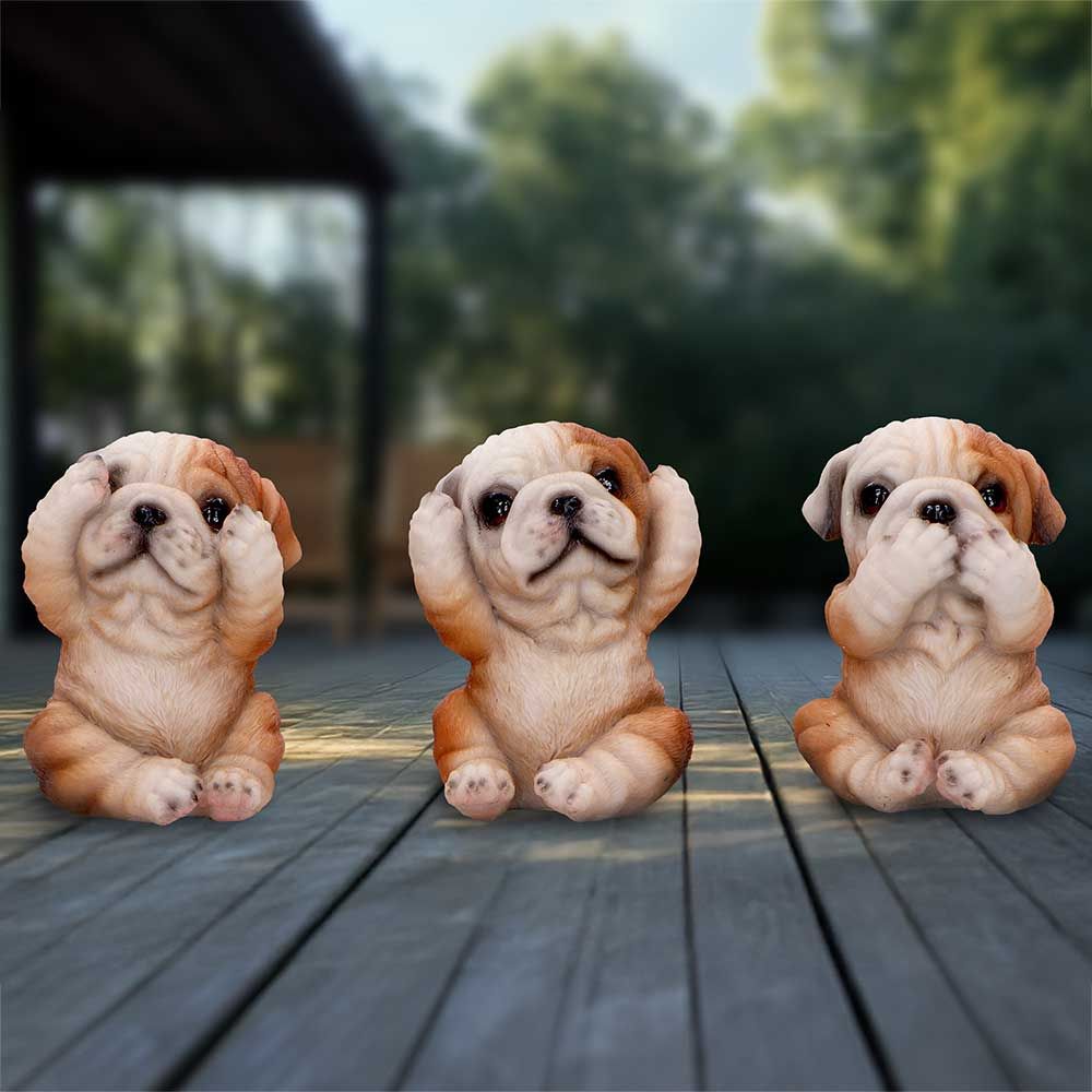 Three Wise Bulldogs