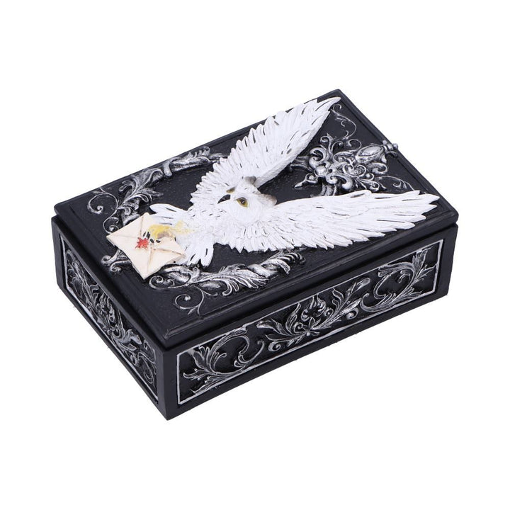 Pre-Order Owl Messenger Box