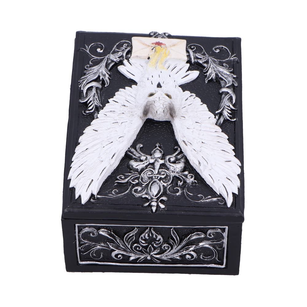 Pre-Order Owl Messenger Box