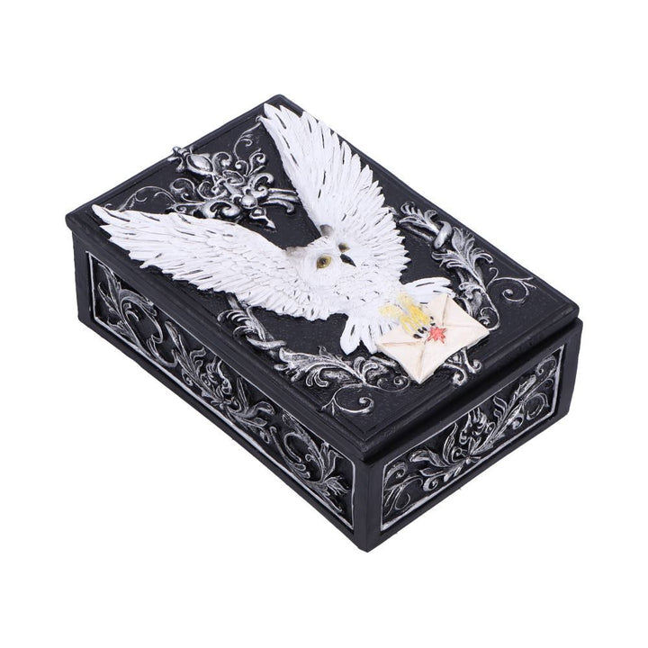 Pre-Order Owl Messenger Box