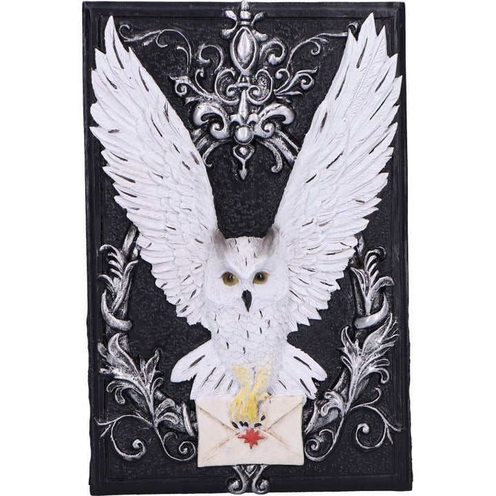 Pre-Order Owl Messenger Box