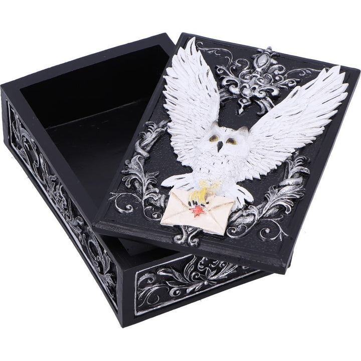 Pre-Order Owl Messenger Box