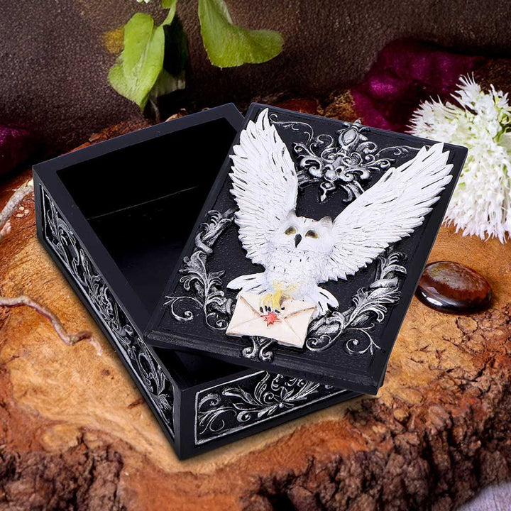 Pre-Order Owl Messenger Box