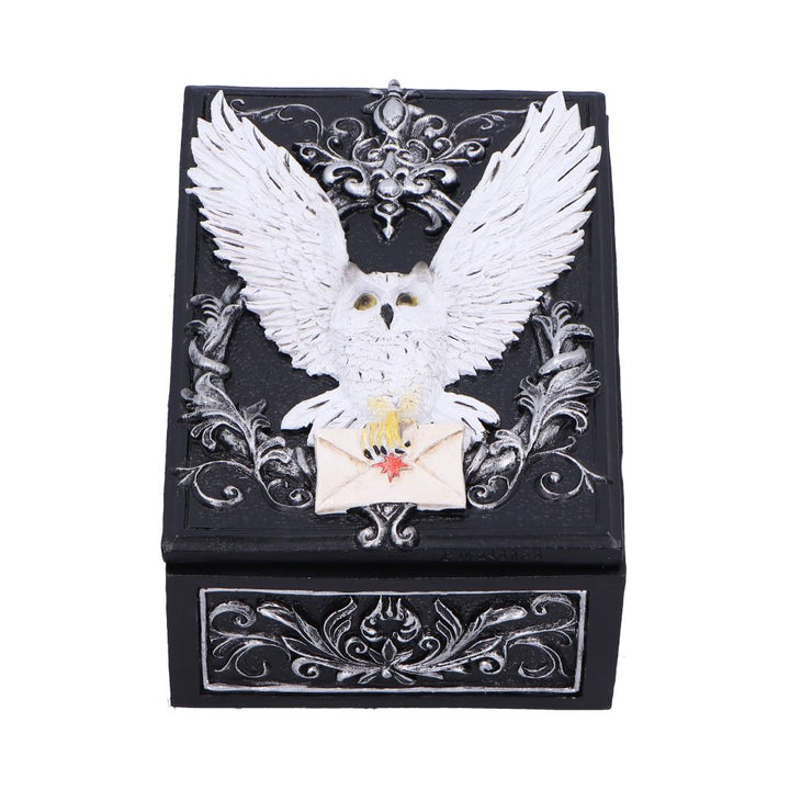 Pre-Order Owl Messenger Box