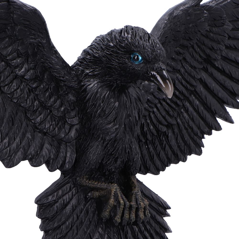 Pre-Order Flight of the Raven