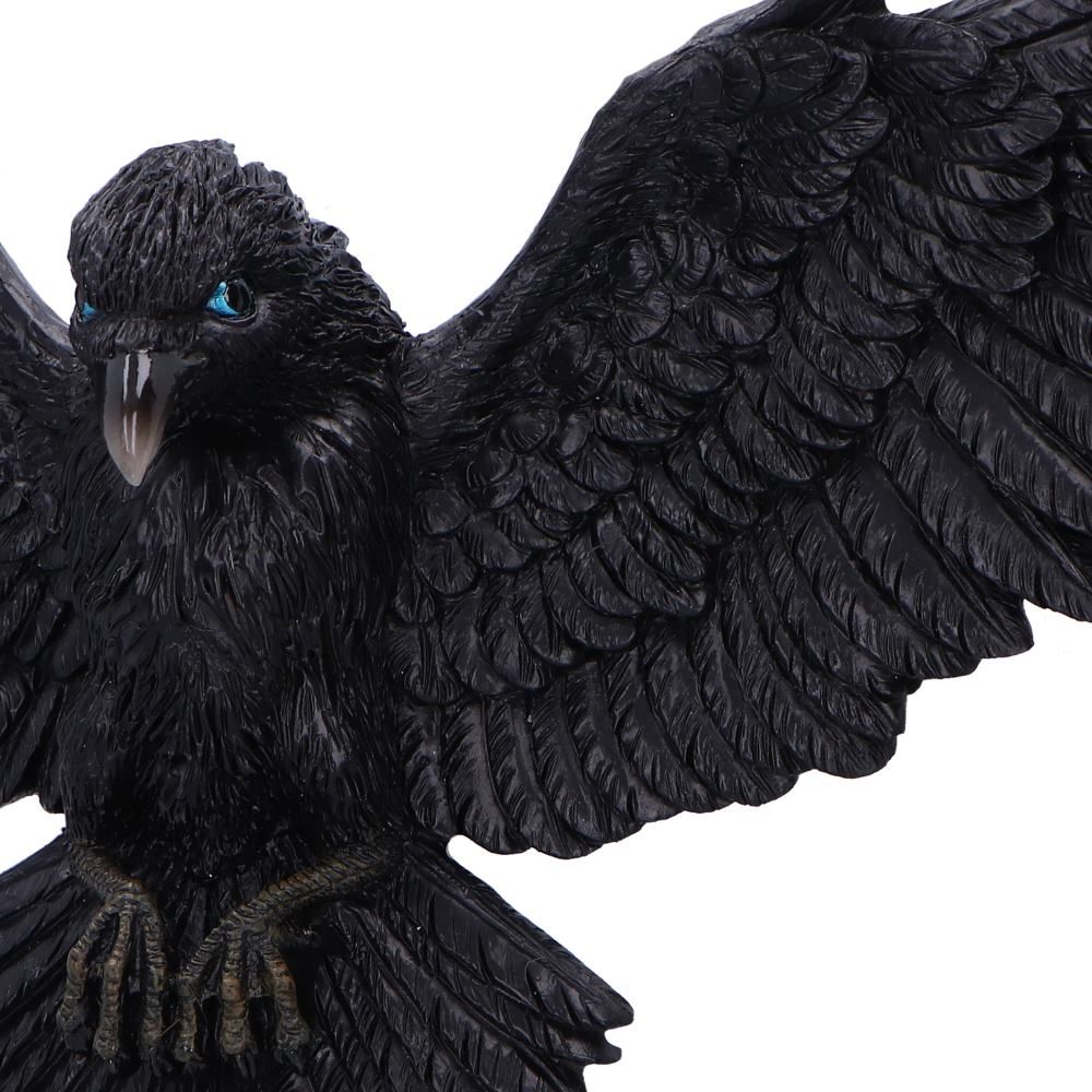 Pre-Order Flight of the Raven