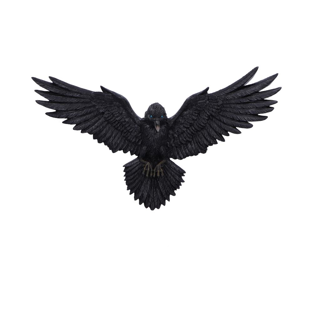 Pre-Order Flight of the Raven