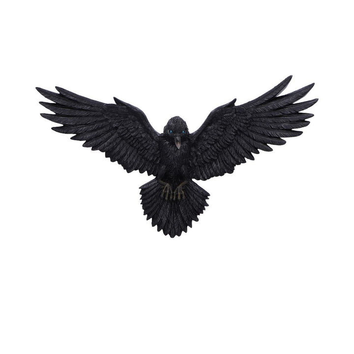 Pre-Order Flight of the Raven