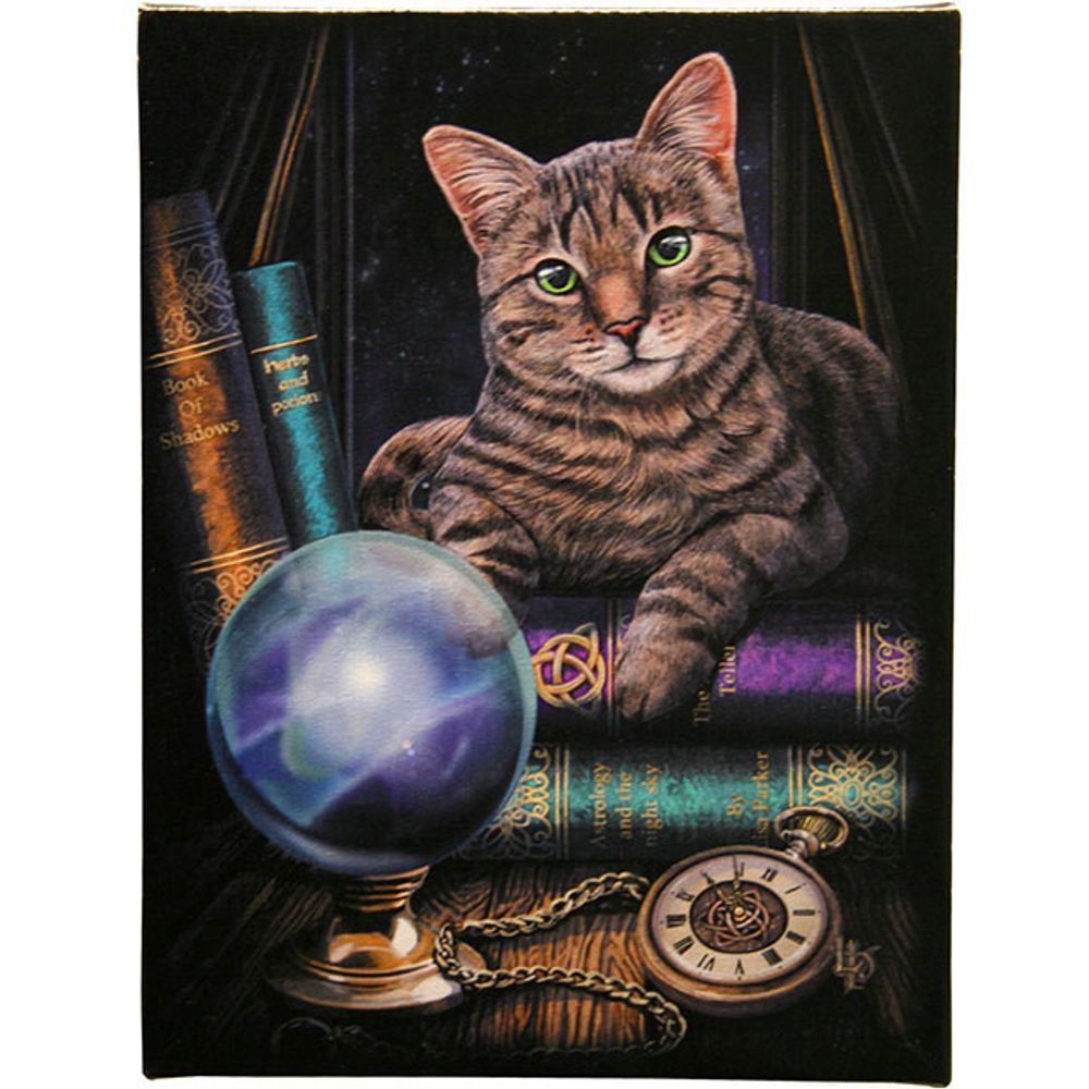 19x25cm Fortune Teller Canvas Plaque by Lisa Parker