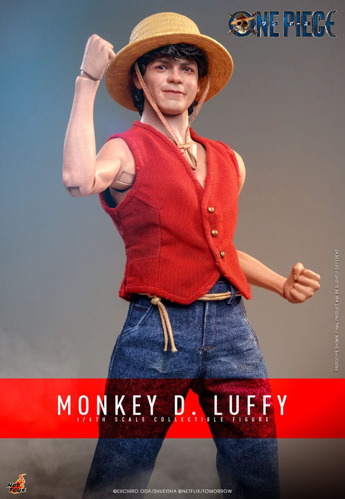 Monkey D. Luffy 1/6 Figurine | One Piece