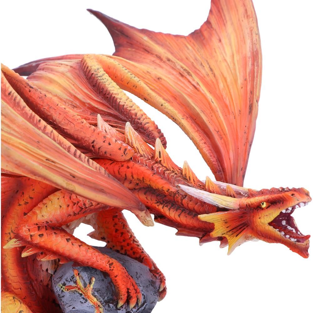 adult fire dragon by anne stokes
