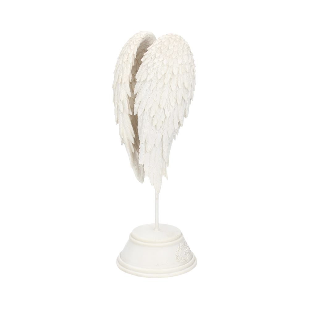 angel wings
