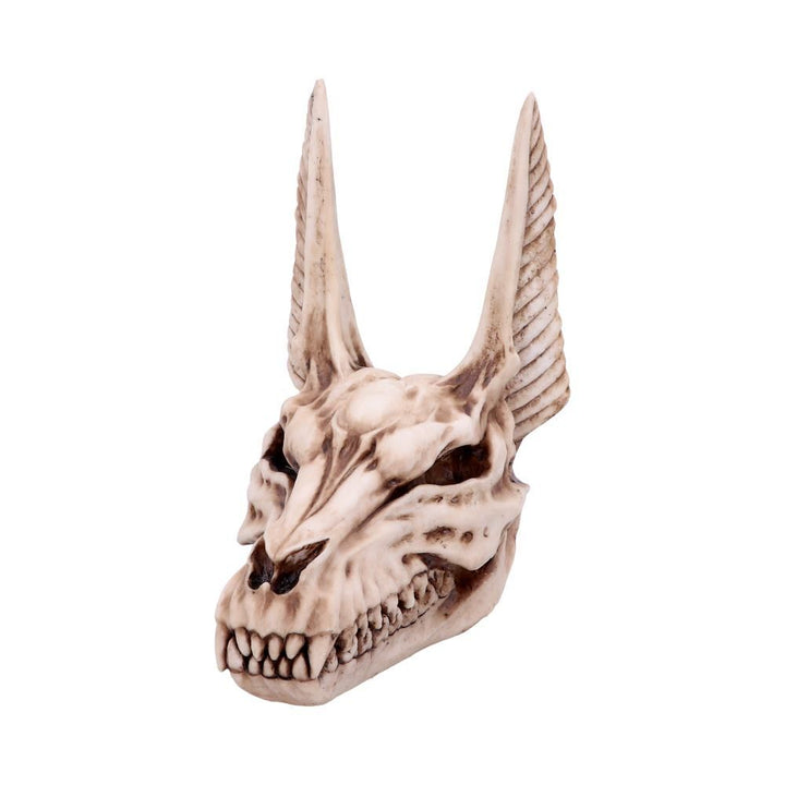 anubis skull