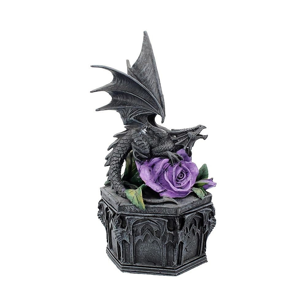 dragon beauty box by anne stokes