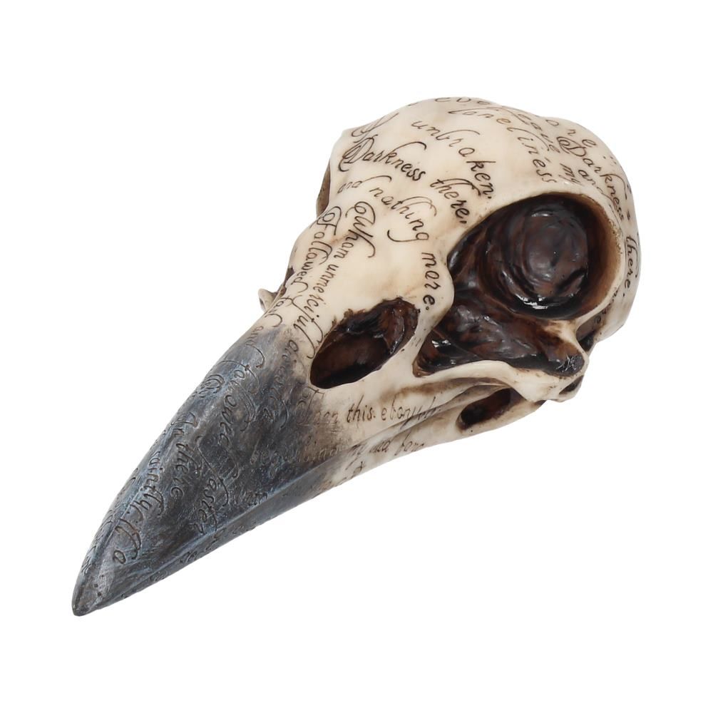 edgar's raven skull