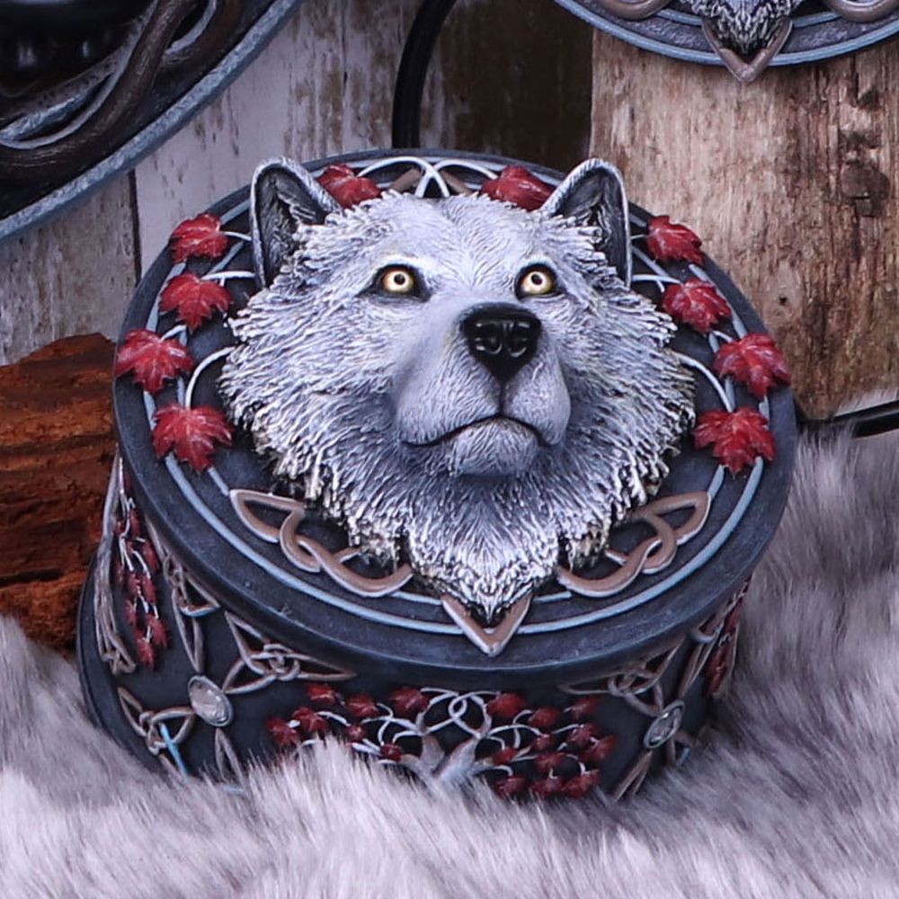 guardian of the fall box by lisa parker