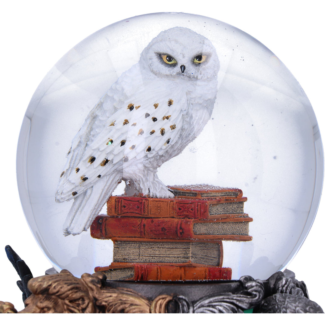 Hedwig Snow Globe | Harry Potter