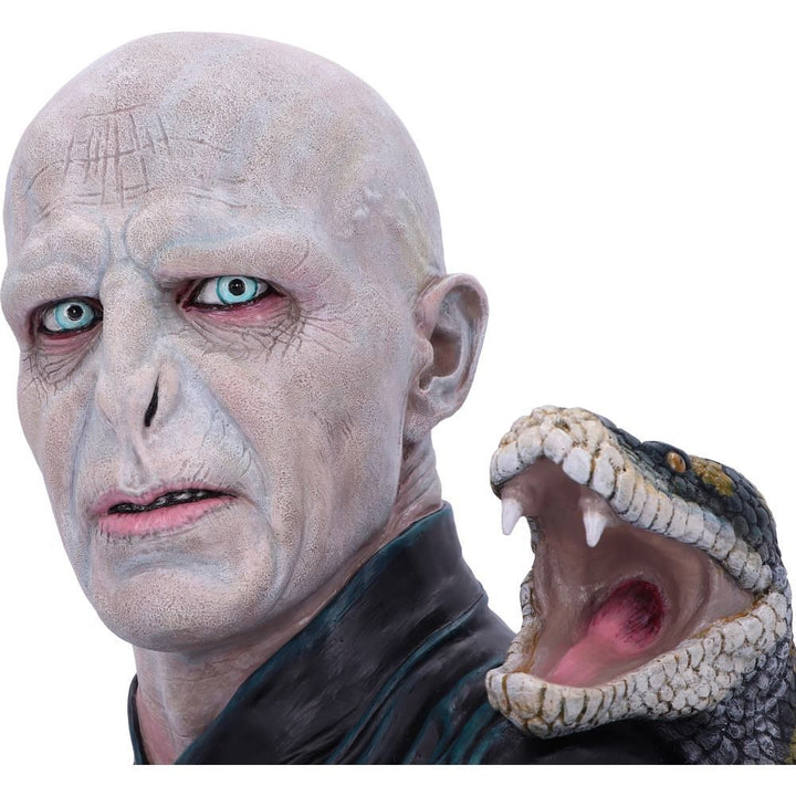 harry potter lord voldemort bust