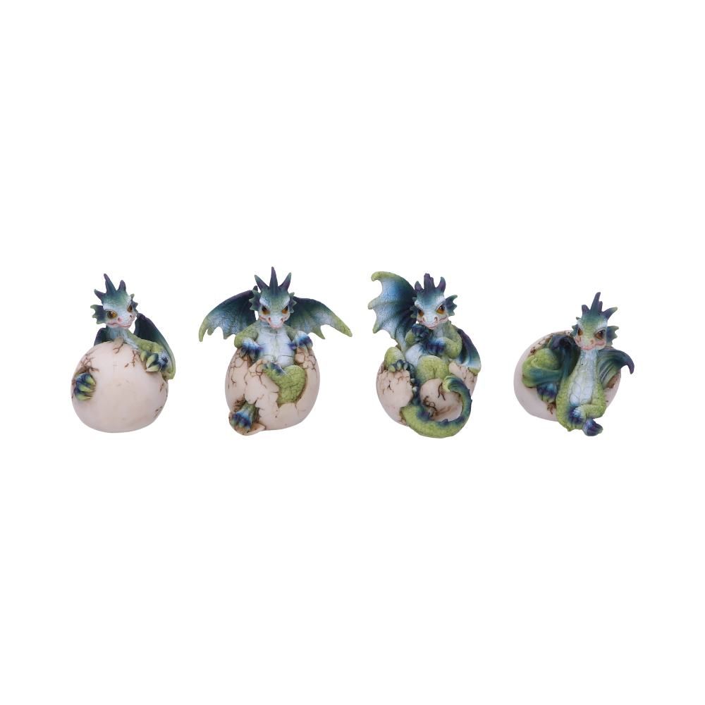 hatchlings emergence (set of 4)